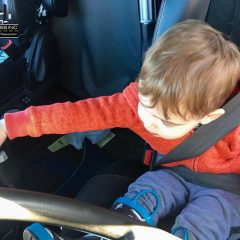 Roz Ventures Junior Driving Practice