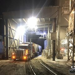 Roz Ventures Picking up Grain