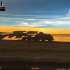 Roz Ventures Trucking Sunny Day