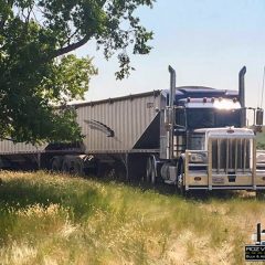 Roz Ventures Transporting Grain