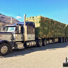 Transporting Hay Bales